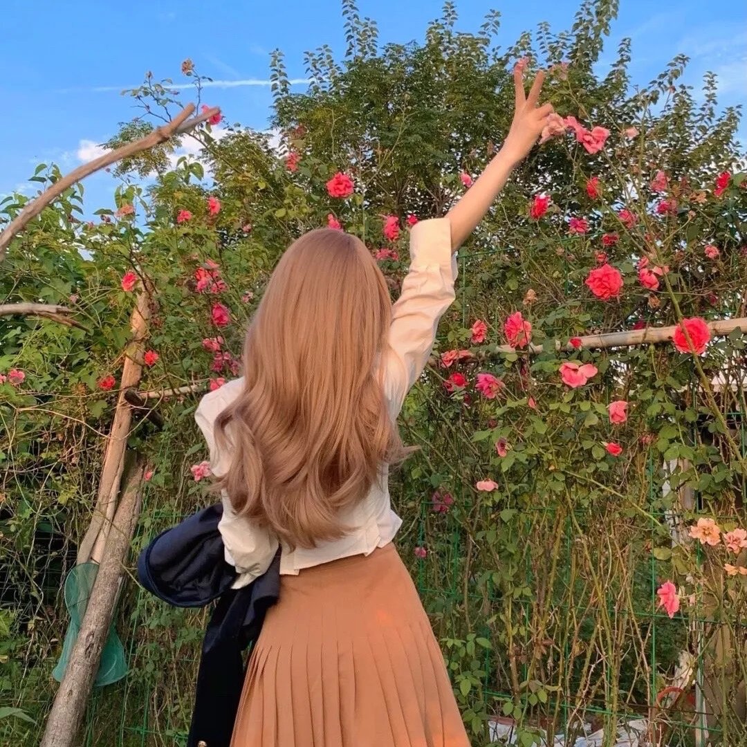 网劫 排行榜封面