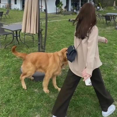 报应 排行榜封面